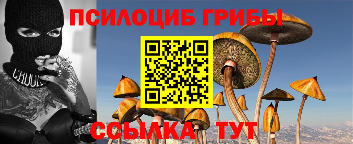 Псилоцибиновые грибы Psilocybine cubensis  Галлюциногенные грибы Psilocybe  Ирбит  Вход с VPN 